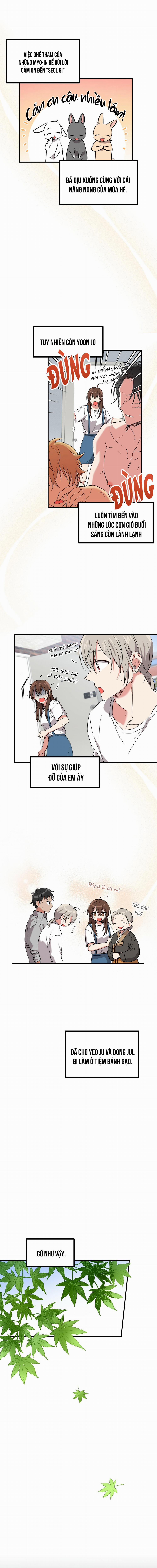 Những Chú Thỏ Của Habibi 55 trang 0