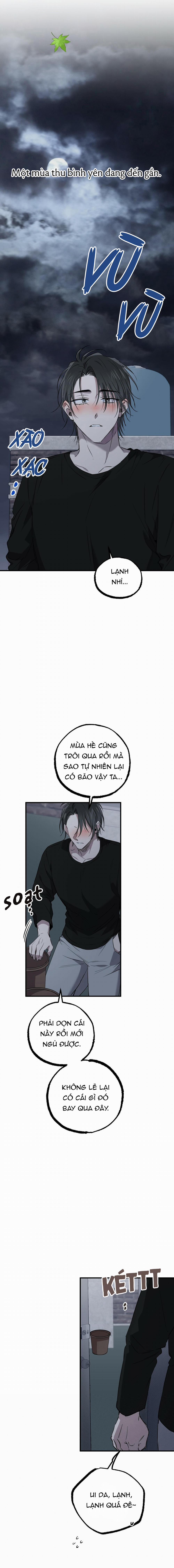 Những Chú Thỏ Của Habibi 55 trang 1