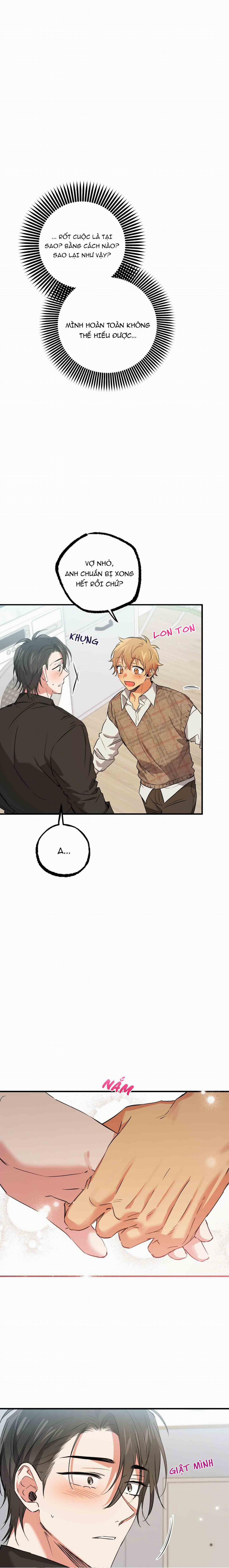 Những Chú Thỏ Của Habibi 55 trang 11