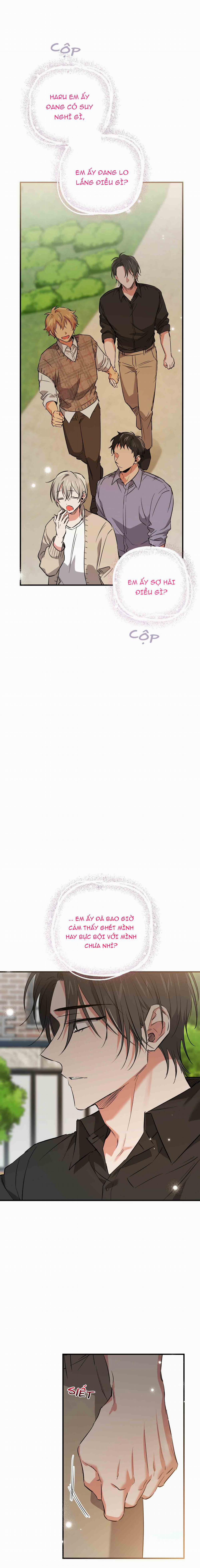 Những Chú Thỏ Của Habibi 55 trang 13