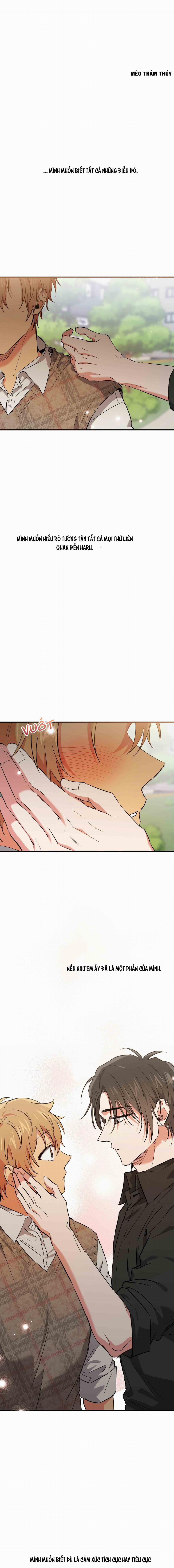 Những Chú Thỏ Của Habibi 55 trang 14