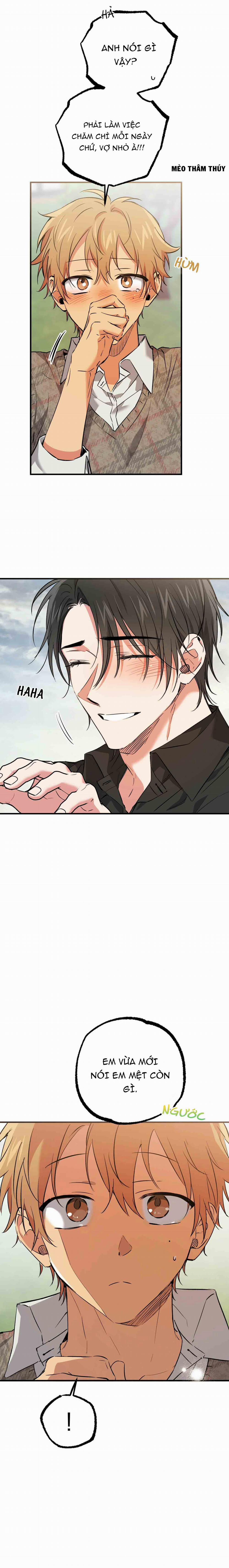 Những Chú Thỏ Của Habibi 55 trang 16