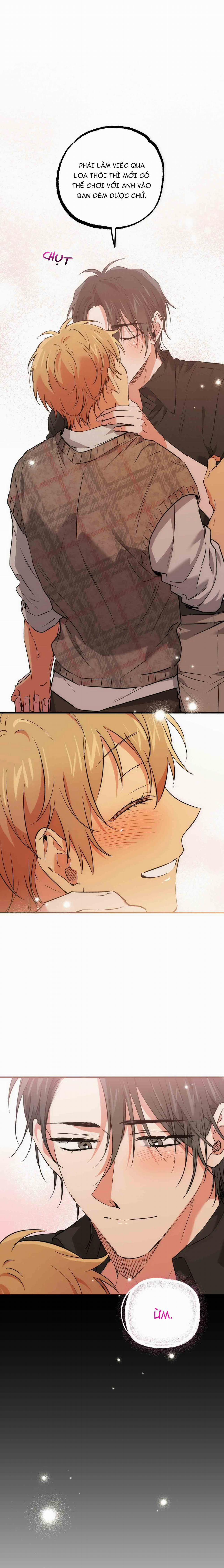 Những Chú Thỏ Của Habibi 55 trang 17