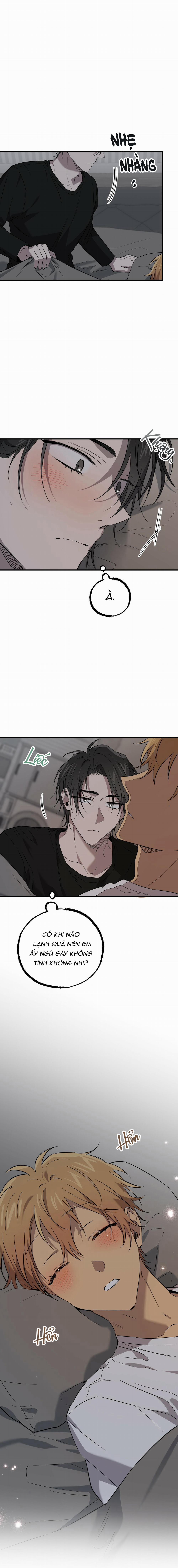 Những Chú Thỏ Của Habibi 55 trang 2