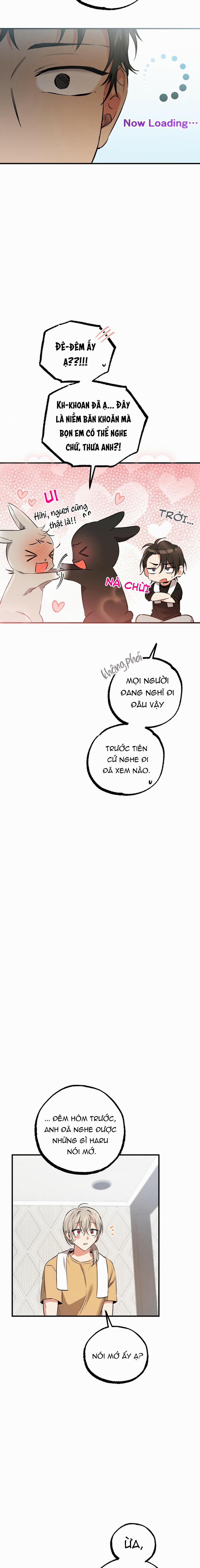 Những Chú Thỏ Của Habibi 55 trang 6