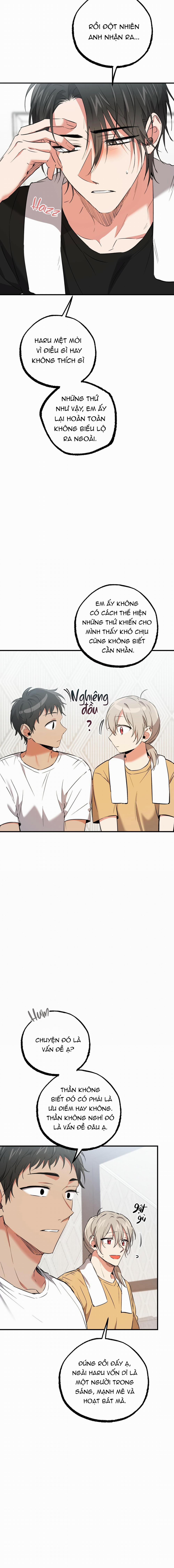 Những Chú Thỏ Của Habibi 55 trang 7