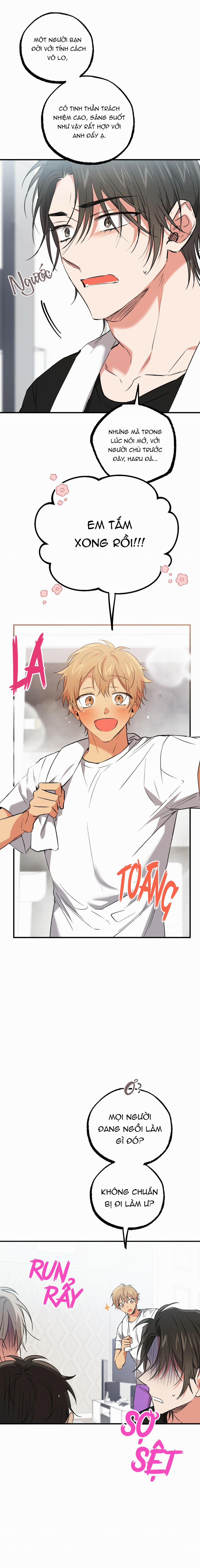 Những Chú Thỏ Của Habibi 55 trang 8