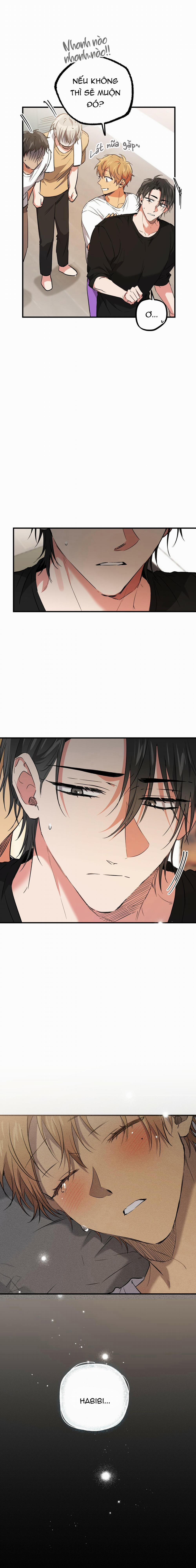 Những Chú Thỏ Của Habibi 55 trang 9