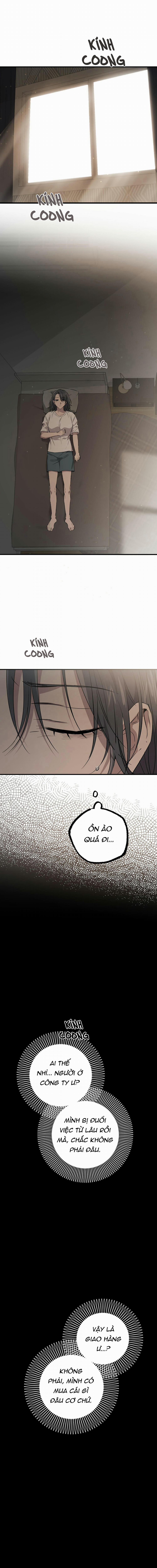 Những Chú Thỏ Của Habibi 56 trang 0