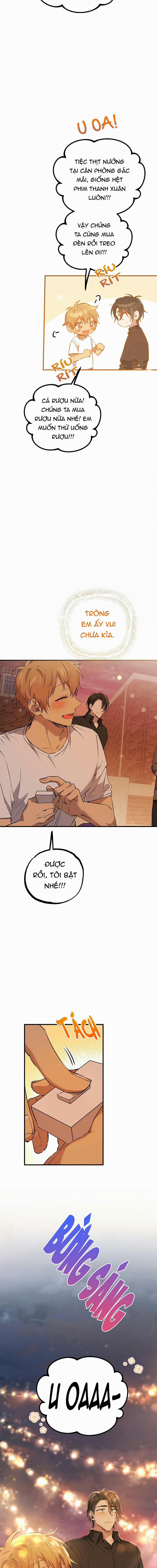 Những Chú Thỏ Của Habibi 56 trang 10