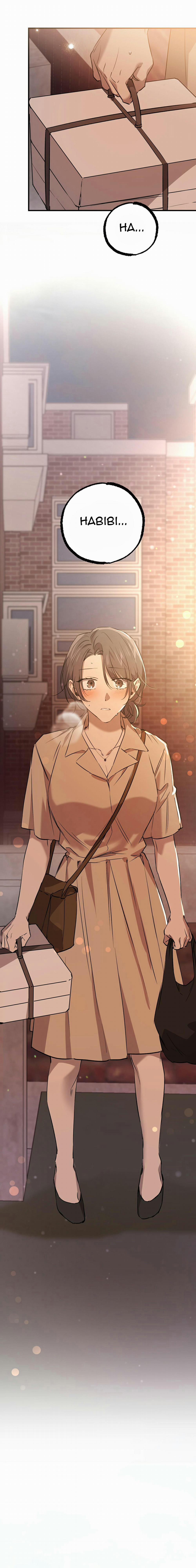 Những Chú Thỏ Của Habibi 56 trang 12