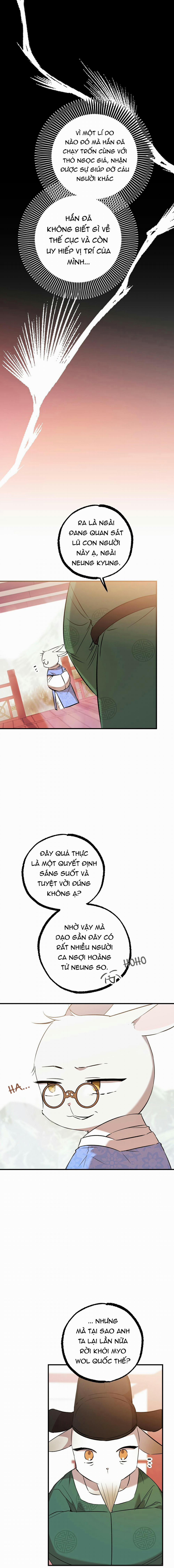 Những Chú Thỏ Của Habibi 56 trang 14