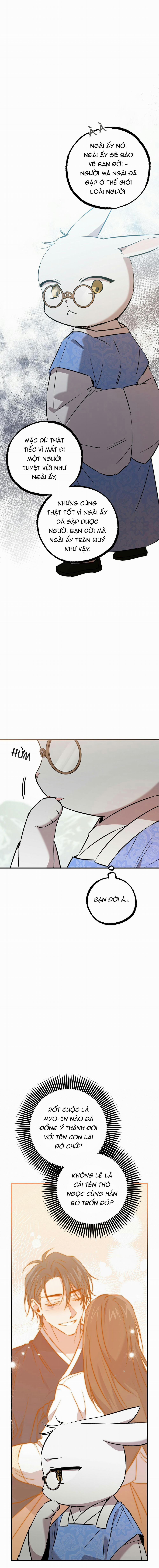 Những Chú Thỏ Của Habibi 56 trang 15