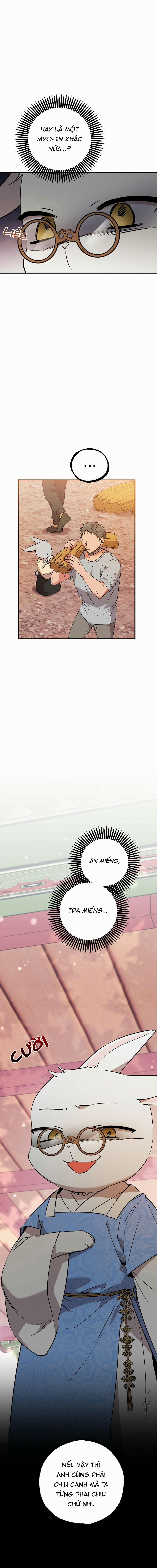 Những Chú Thỏ Của Habibi 56 trang 16