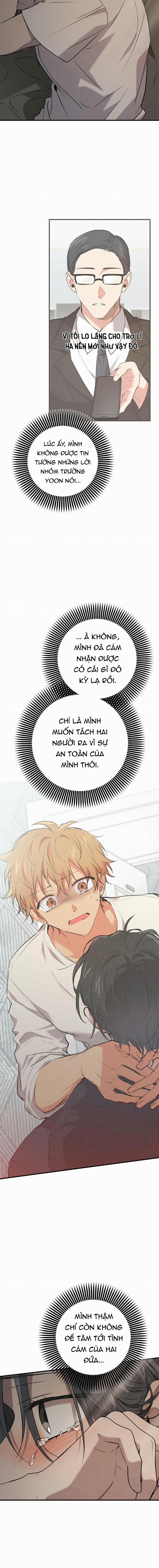 Những Chú Thỏ Của Habibi 56 trang 2