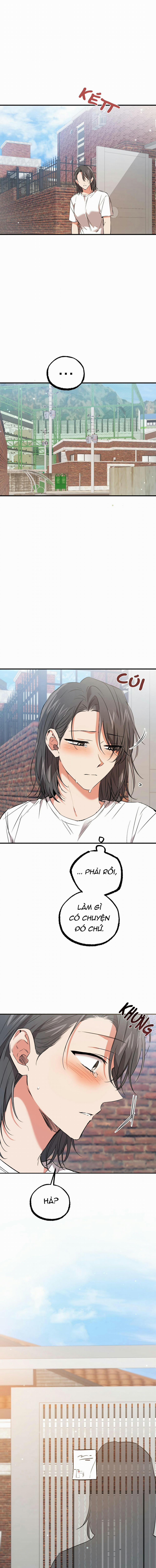 Những Chú Thỏ Của Habibi 56 trang 4