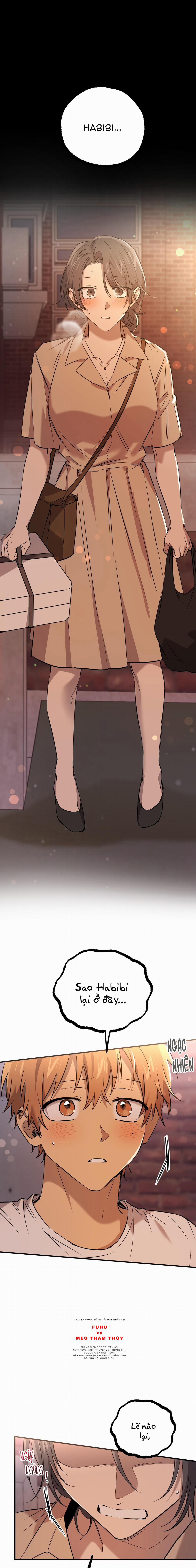 Những Chú Thỏ Của Habibi 57 trang 0