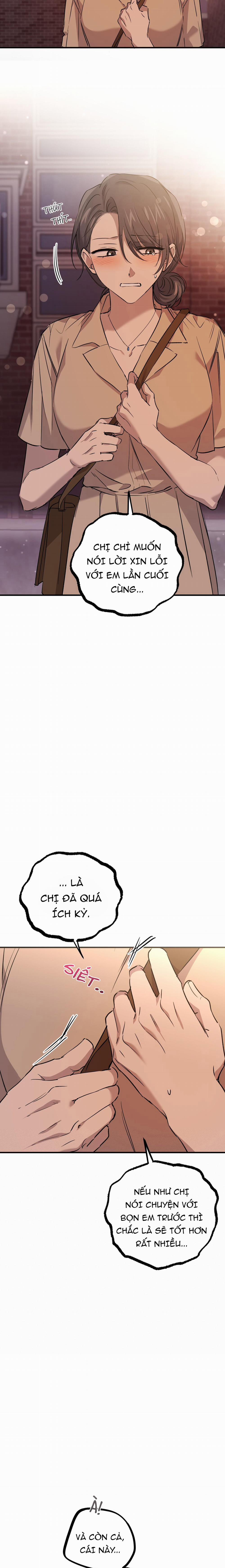 Những Chú Thỏ Của Habibi 57 trang 12