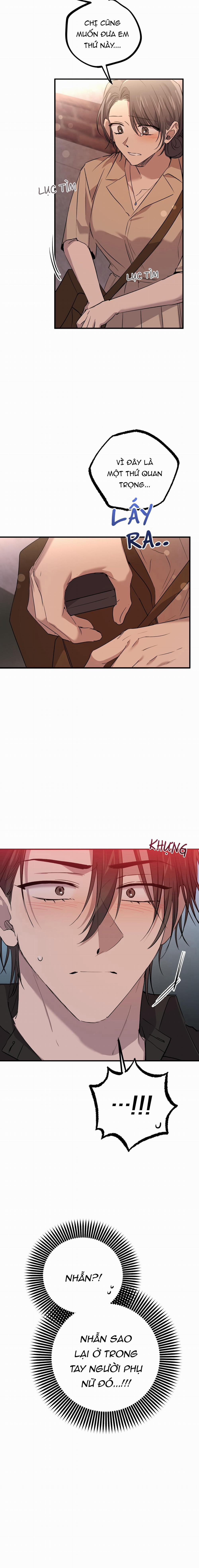 Những Chú Thỏ Của Habibi 57 trang 13