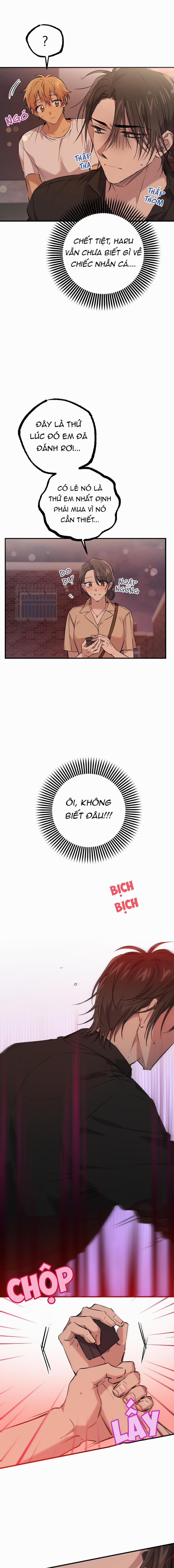 Những Chú Thỏ Của Habibi 57 trang 14