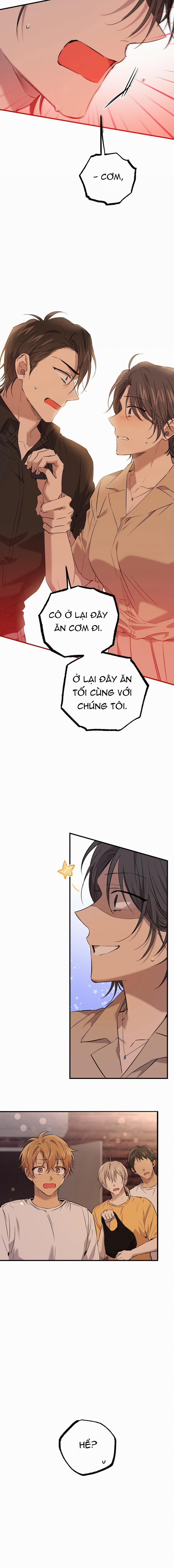 Những Chú Thỏ Của Habibi 57 trang 15