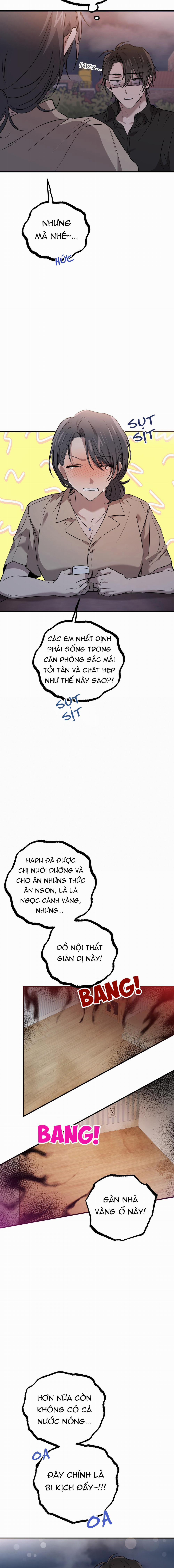 Những Chú Thỏ Của Habibi 57 trang 17