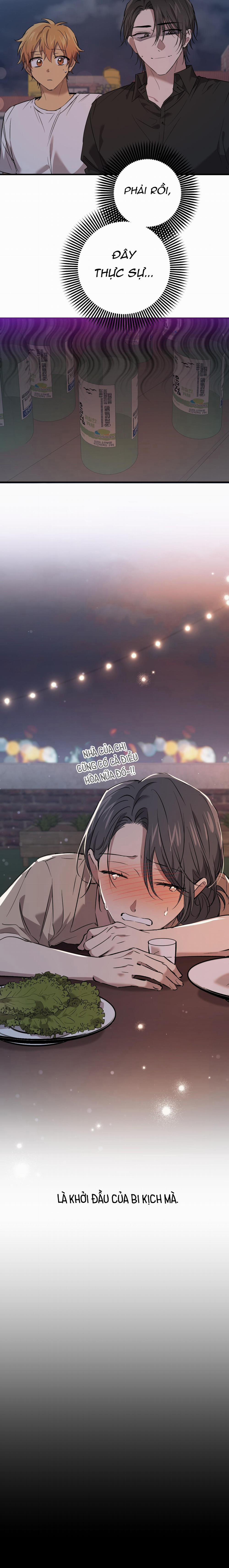 Những Chú Thỏ Của Habibi 57 trang 18