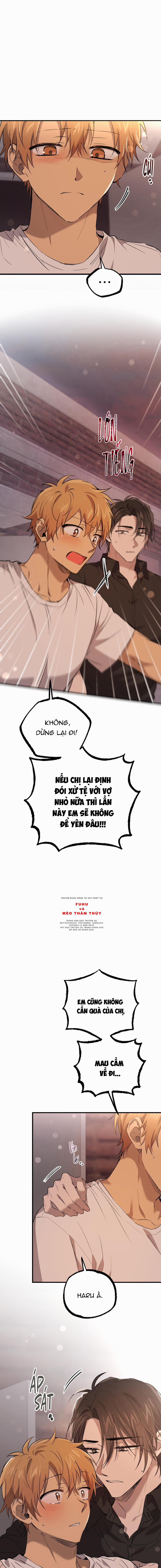 Những Chú Thỏ Của Habibi 57 trang 2