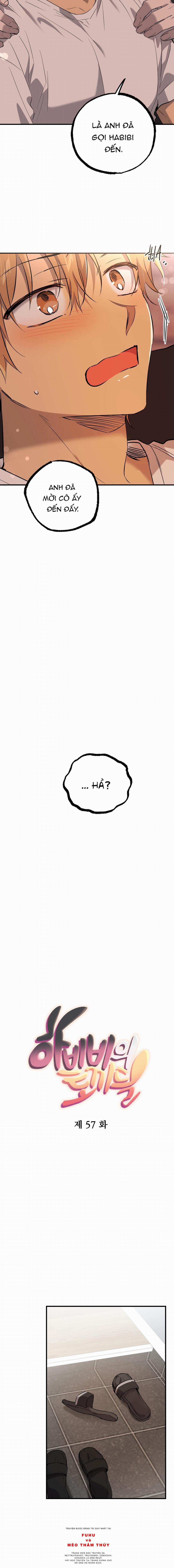 Những Chú Thỏ Của Habibi 57 trang 3