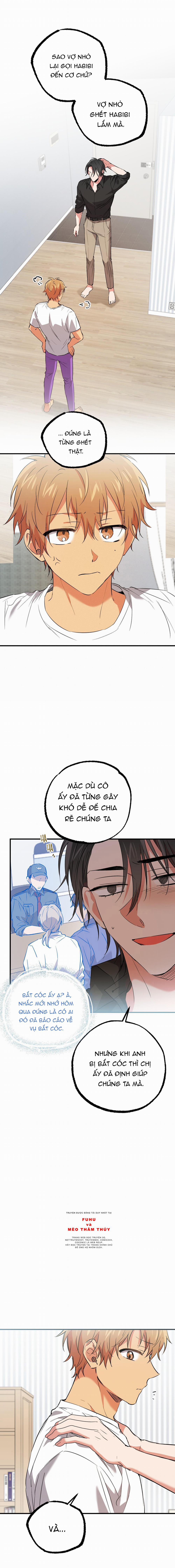 Những Chú Thỏ Của Habibi 57 trang 4