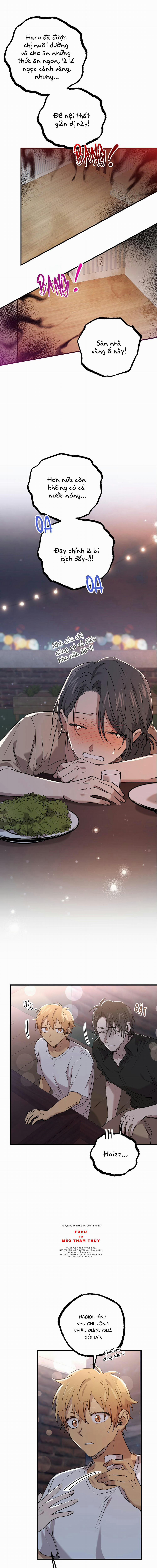 Những Chú Thỏ Của Habibi 58 trang 0