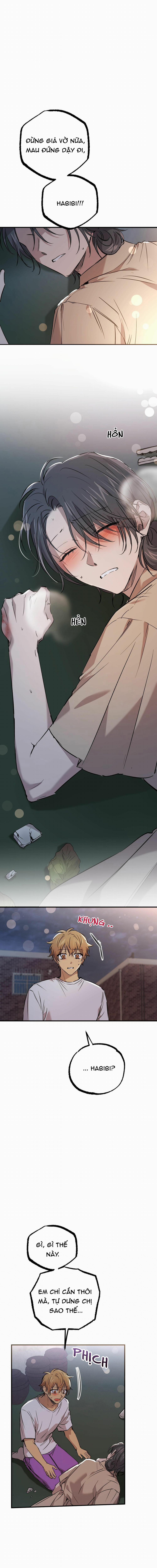 Những Chú Thỏ Của Habibi 58 trang 11