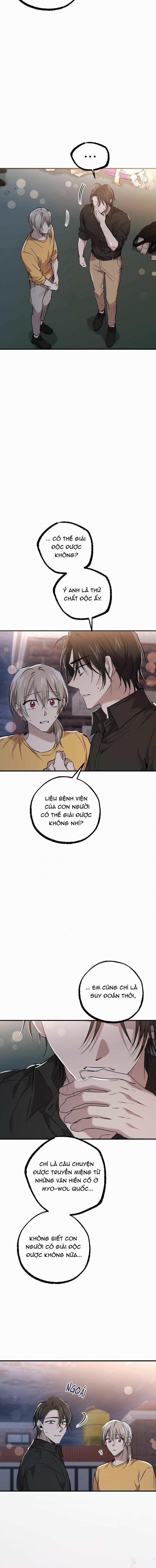 Những Chú Thỏ Của Habibi 58 trang 13