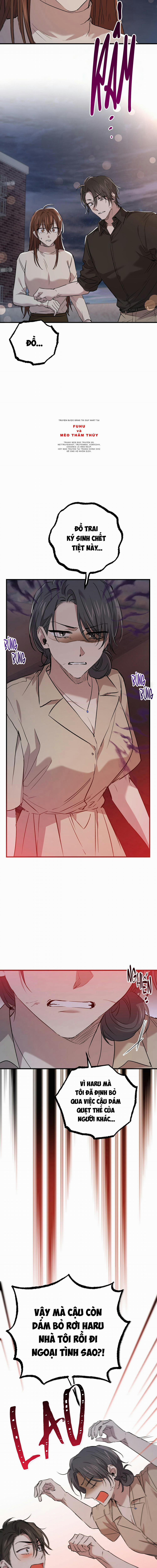 Những Chú Thỏ Của Habibi 58 trang 4