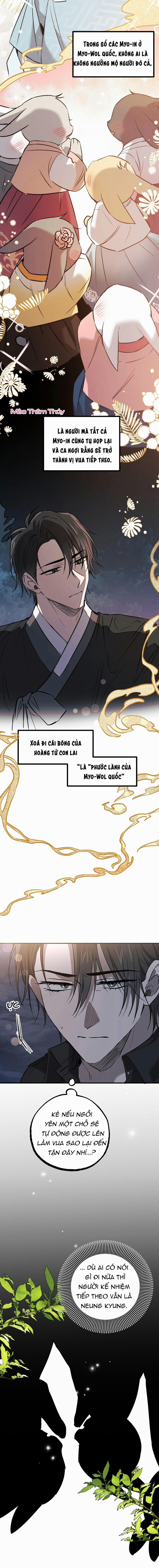 Những Chú Thỏ Của Habibi 59 trang 1