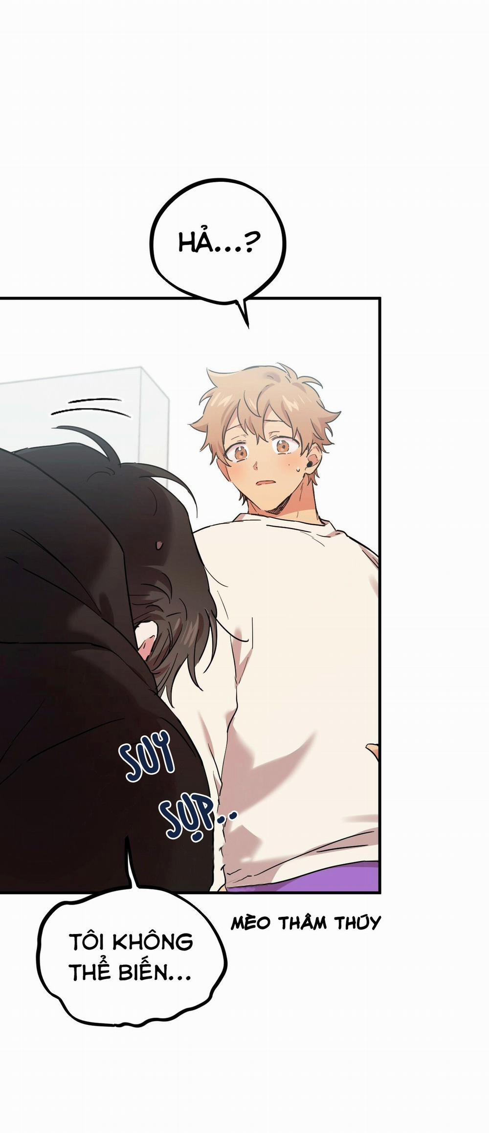 Những Chú Thỏ Của Habibi 6 trang 1