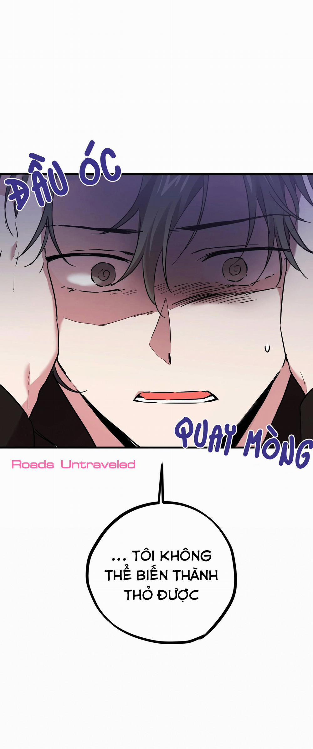 Những Chú Thỏ Của Habibi 6 trang 2