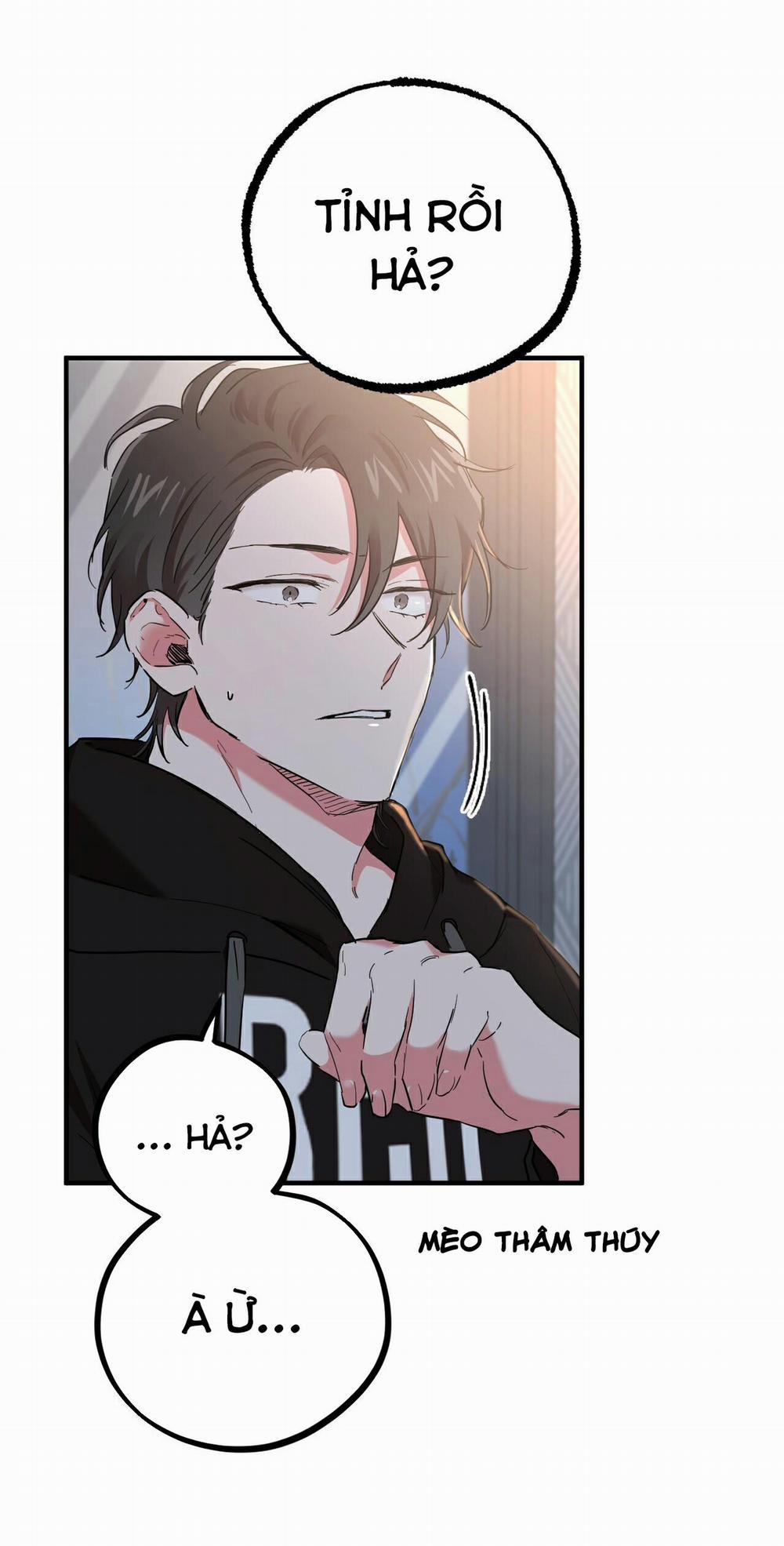 Những Chú Thỏ Của Habibi 6 trang 28