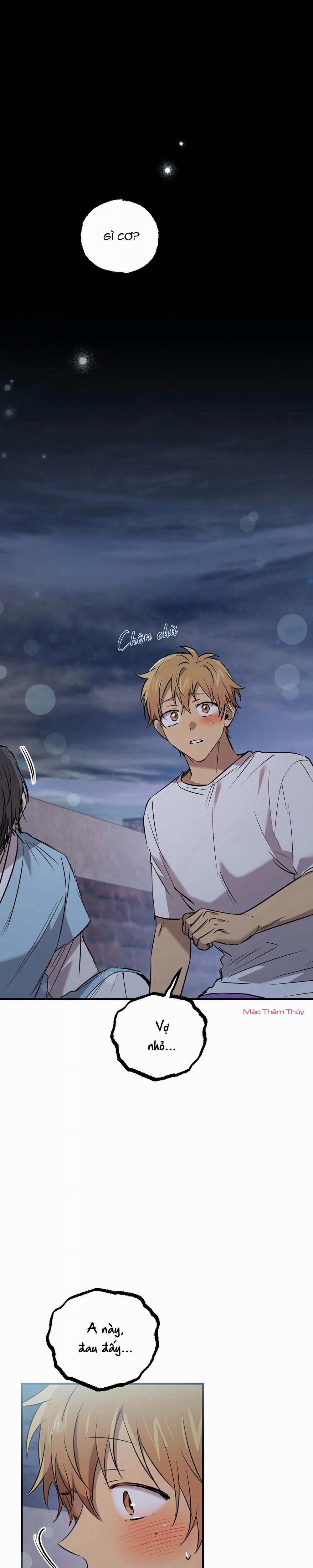 Những Chú Thỏ Của Habibi 60 trang 11