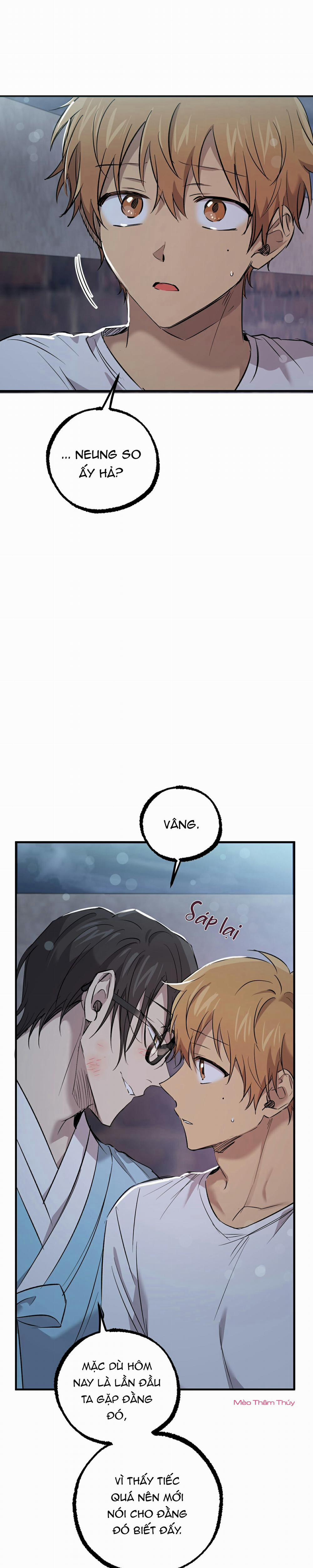 Những Chú Thỏ Của Habibi 60 trang 15