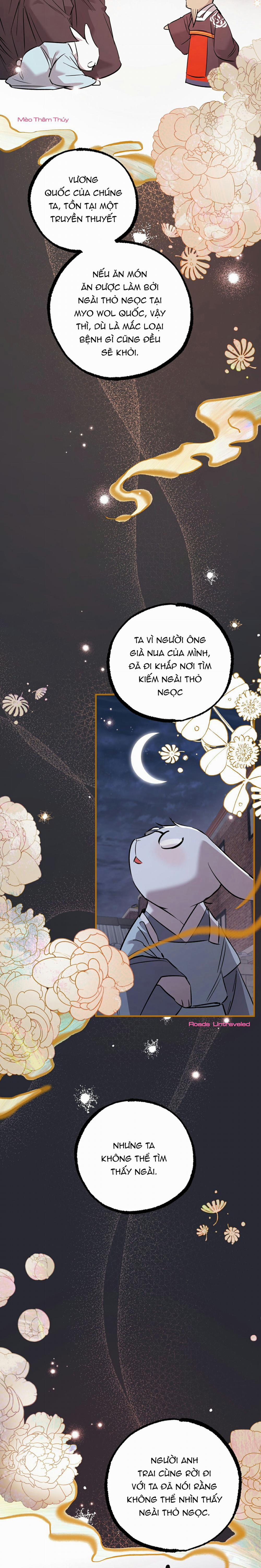 Những Chú Thỏ Của Habibi 60 trang 17