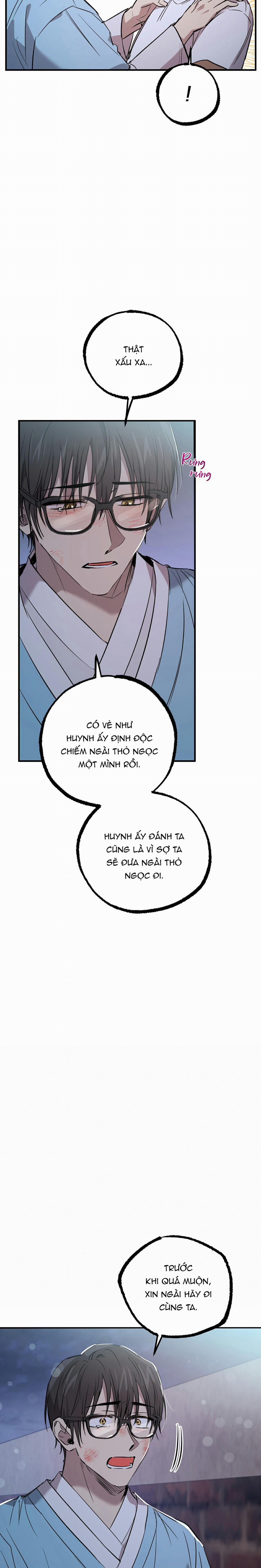 Những Chú Thỏ Của Habibi 60 trang 19