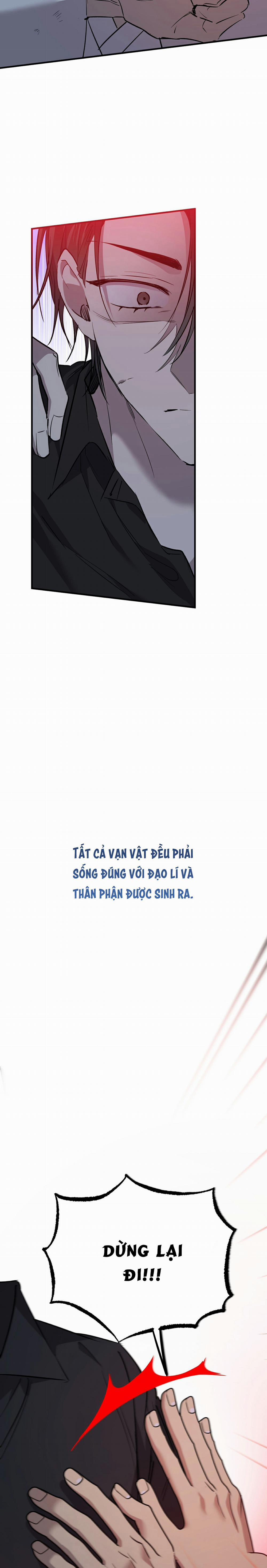 Những Chú Thỏ Của Habibi 60 trang 2