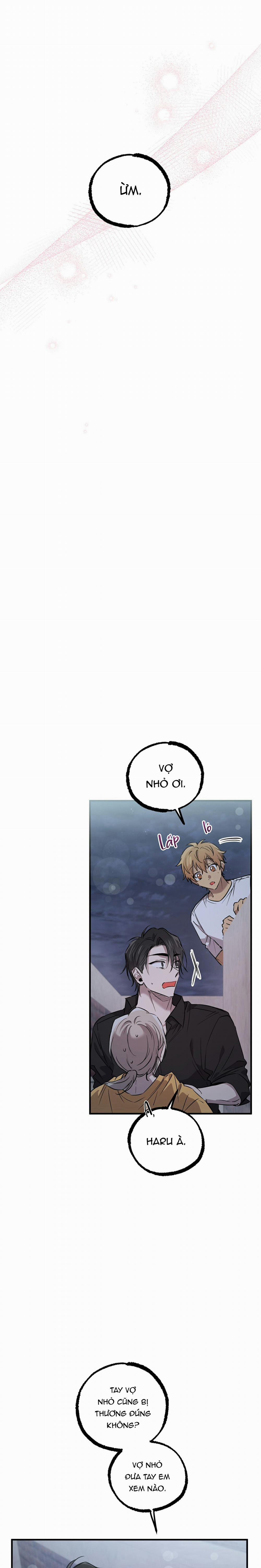 Những Chú Thỏ Của Habibi 60 trang 22