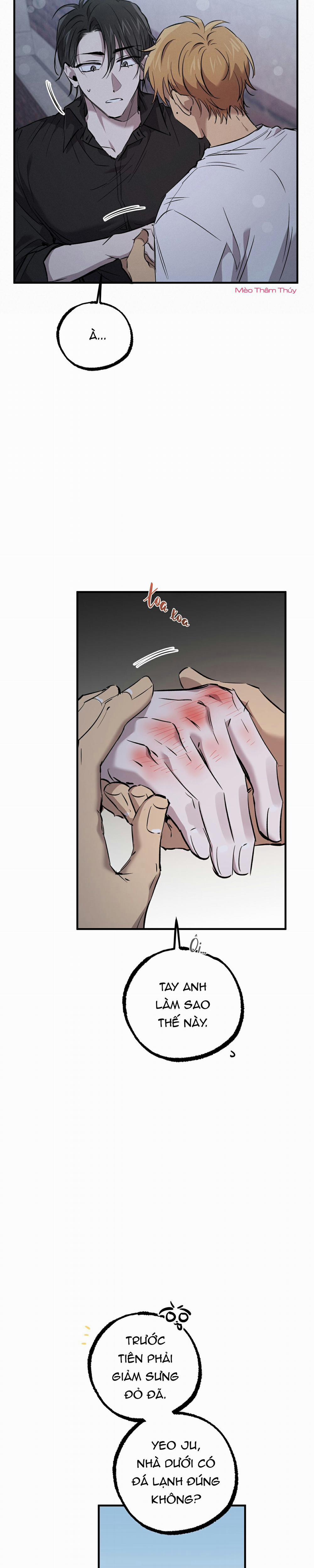 Những Chú Thỏ Của Habibi 60 trang 23