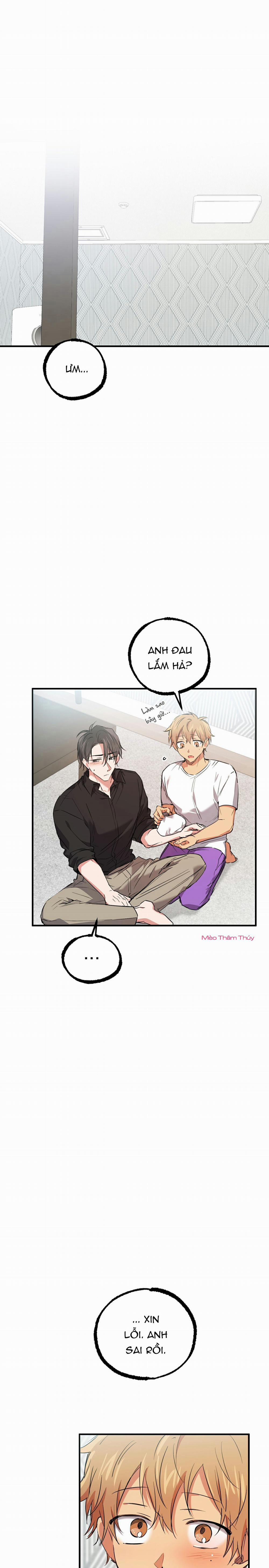 Những Chú Thỏ Của Habibi 60 trang 25