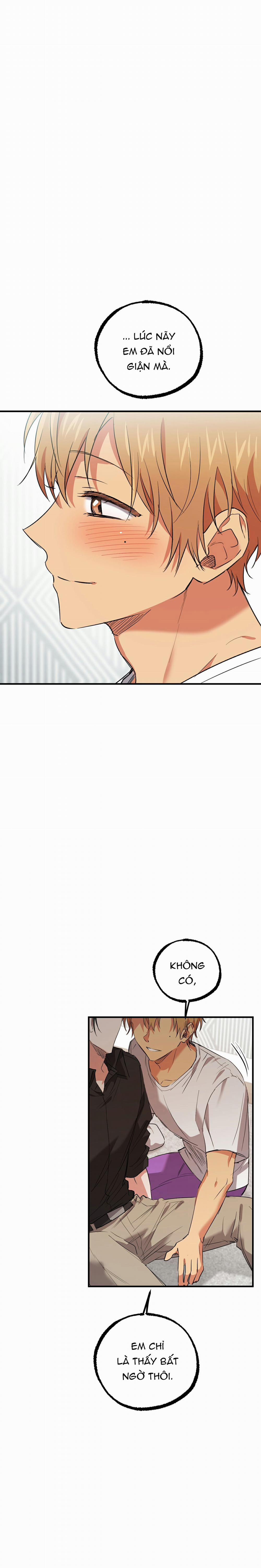 Những Chú Thỏ Của Habibi 60 trang 28