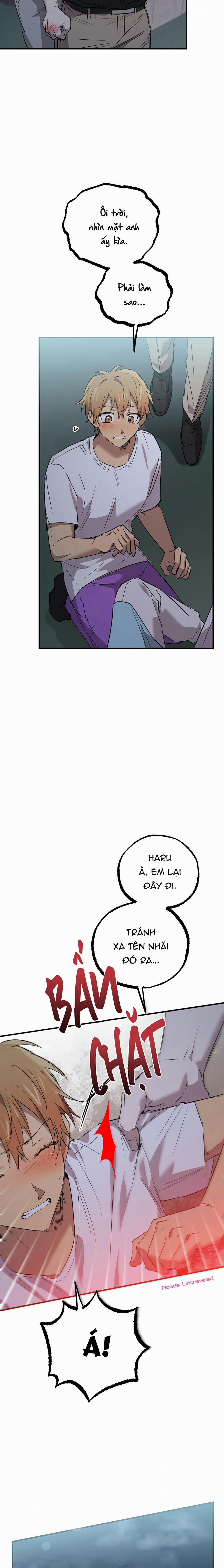 Những Chú Thỏ Của Habibi 60 trang 5