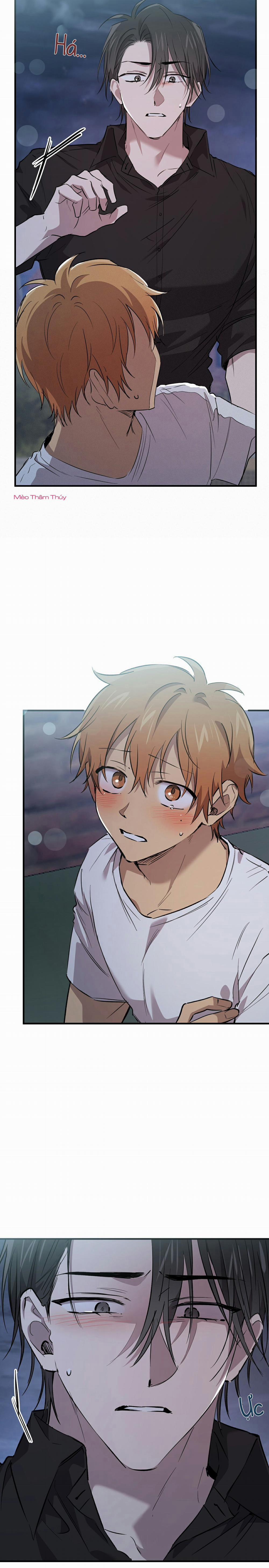 Những Chú Thỏ Của Habibi 60 trang 6