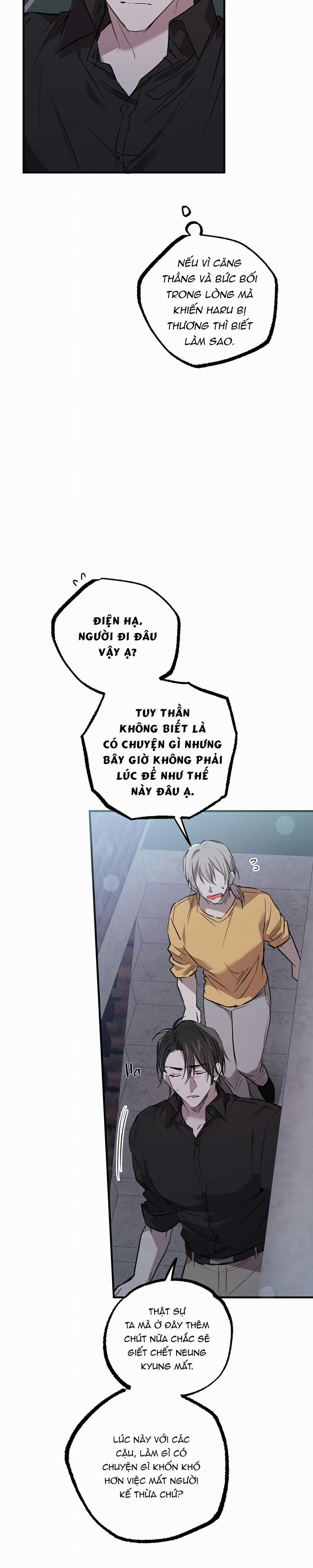 Những Chú Thỏ Của Habibi 60 trang 8